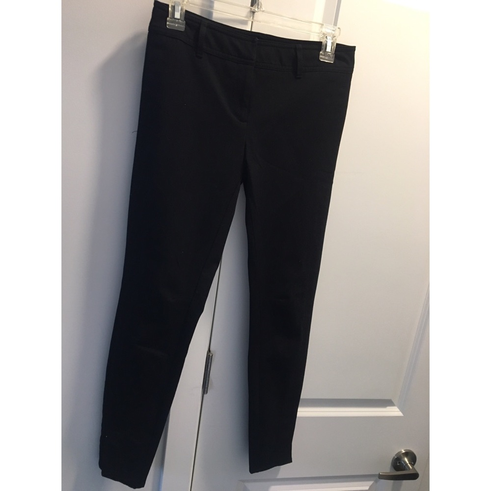 Dress pants